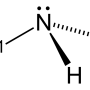 ammina_primaria.png