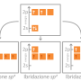ibridazione-01-1024x576.png